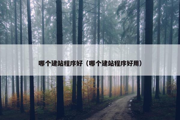哪个建站程序好（哪个建站程序好用）