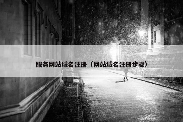 服务网站域名注册（网站域名注册步骤）