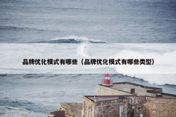 品牌优化模式有哪些（品牌优化模式有哪些类型）