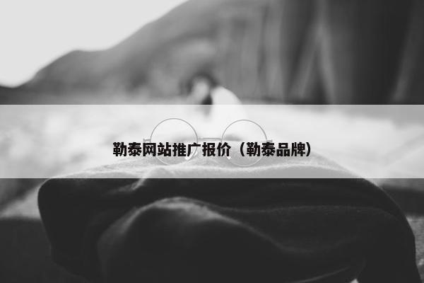 勒泰网站推广报价（勒泰品牌）