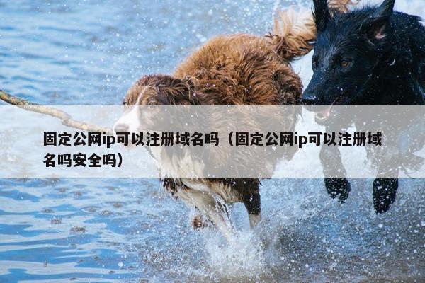 固定公网ip可以注册域名吗（固定公网ip可以注册域名吗安全吗）
