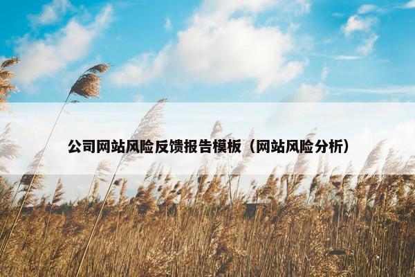 公司网站风险反馈报告模板（网站风险分析）