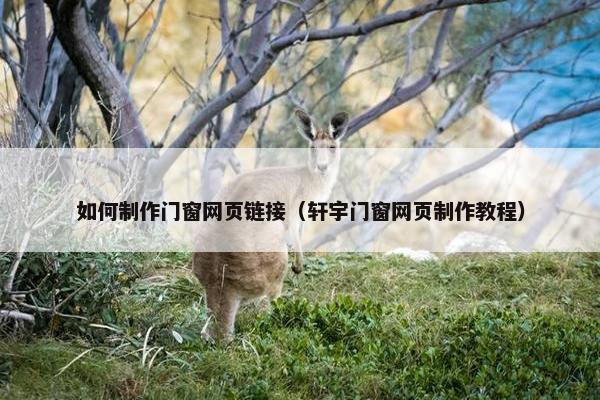 如何制作门窗网页链接（轩宇门窗网页制作教程）