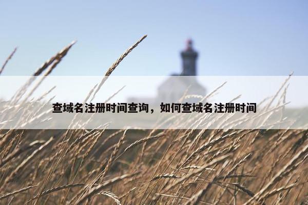 查域名注册时间查询，如何查域名注册时间