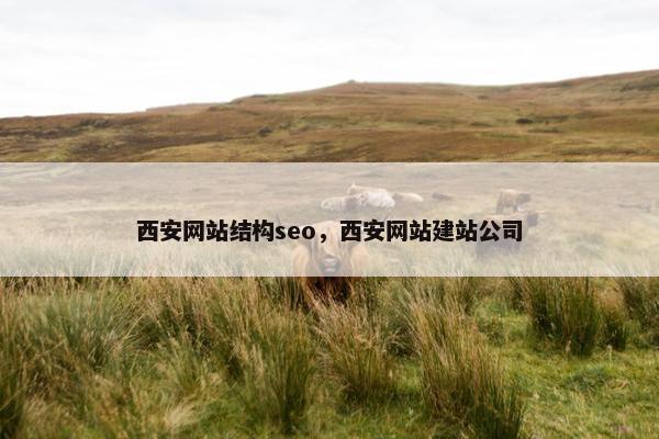 西安网站结构seo，西安网站建站公司