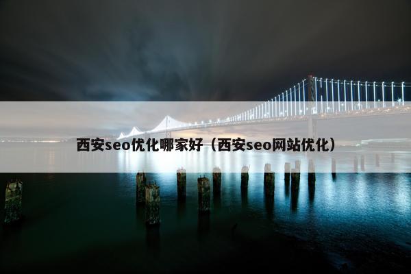 西安seo优化哪家好（西安seo网站优化）