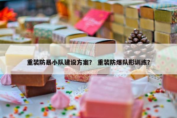 重装防暴小队建设方案？ 重装防爆队形训练？