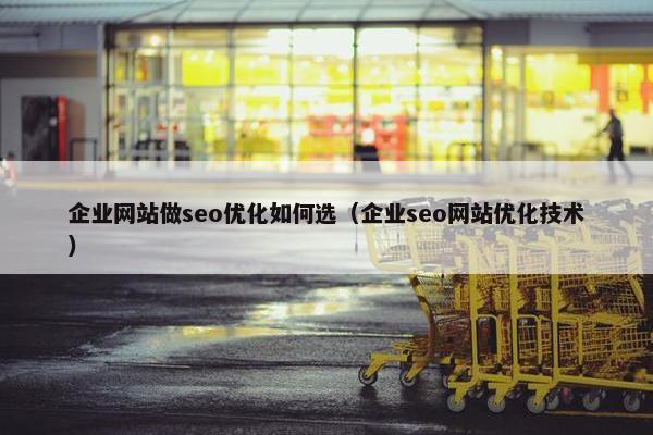 企业网站做seo优化如何选（企业seo网站优化技术）