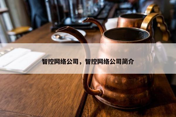 智控网络公司，智控网络公司简介