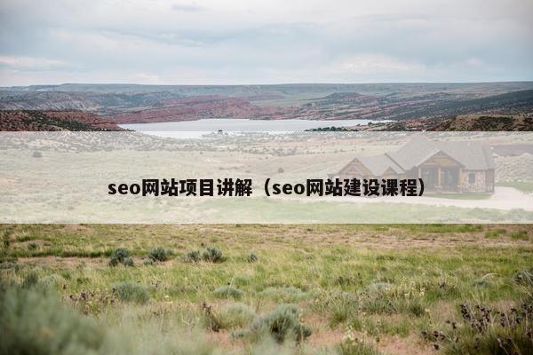 seo网站项目讲解（seo网站建设课程）