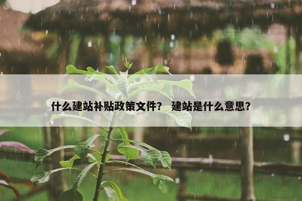 什么建站补贴政策文件？ 建站是什么意思？