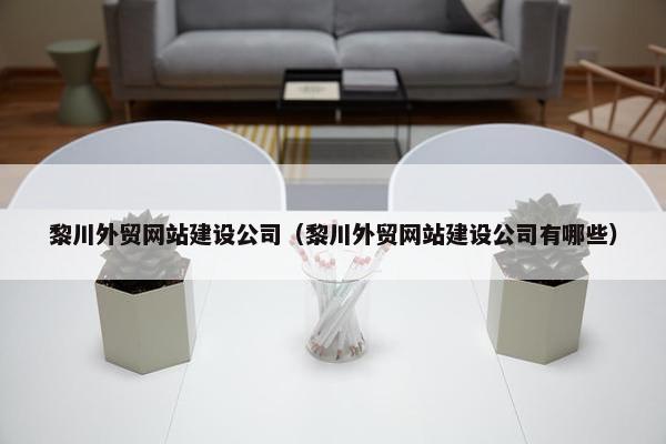 黎川外贸网站建设公司（黎川外贸网站建设公司有哪些）