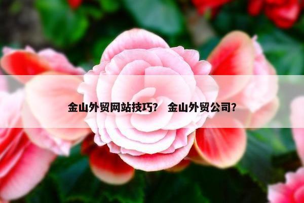金山外贸网站技巧？ 金山外贸公司？