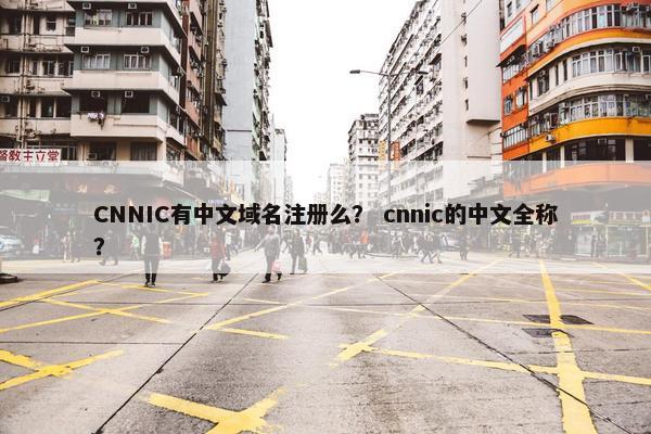 CNNIC有中文域名注册么？ cnnic的中文全称？