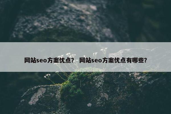 网站seo方案优点？ 网站seo方案优点有哪些？