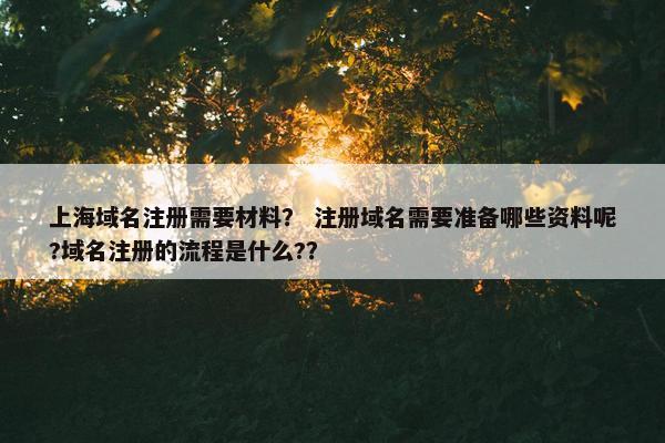 上海域名注册需要材料？ 注册域名需要准备哪些资料呢?域名注册的流程是什么?？