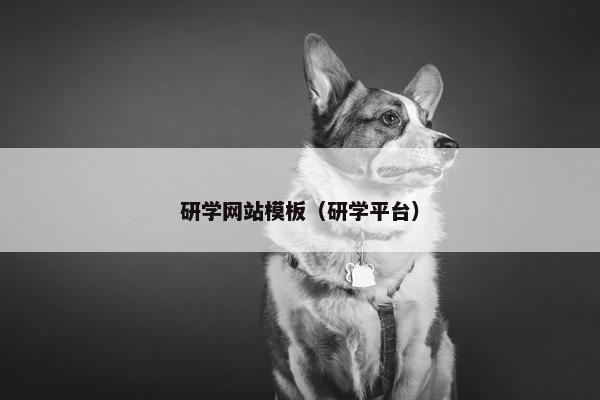 研学网站模板（研学平台）