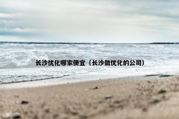 长沙优化哪家便宜（长沙做优化的公司）