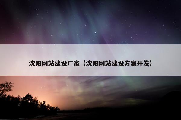 沈阳网站建设厂家（沈阳网站建设方案开发）
