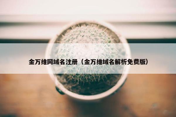 金万维网域名注册（金万维域名解析免费版）
