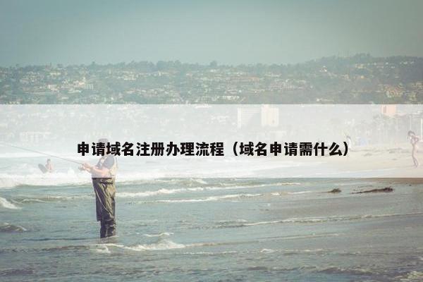 申请域名注册办理流程（域名申请需什么）