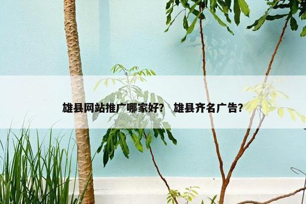 雄县网站推广哪家好？ 雄县齐名广告？