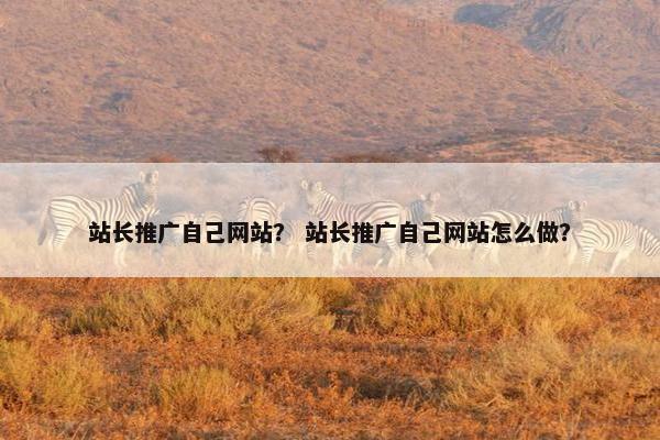 站长推广自己网站？ 站长推广自己网站怎么做？