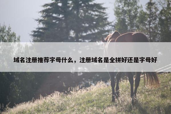 域名注册推荐字母什么，注册域名是全拼好还是字母好