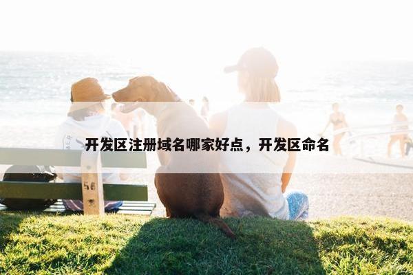 开发区注册域名哪家好点，开发区命名