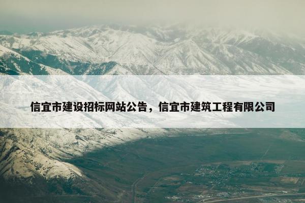 信宜市建设招标网站公告，信宜市建筑工程有限公司