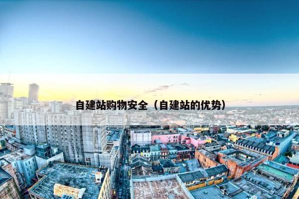 自建站购物安全（自建站的优势）