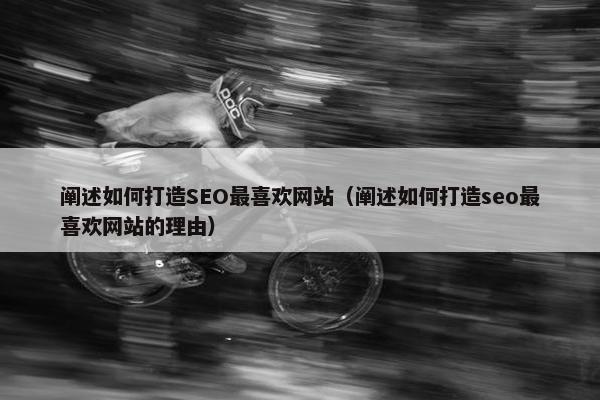阐述如何打造SEO最喜欢网站（阐述如何打造seo最喜欢网站的理由）