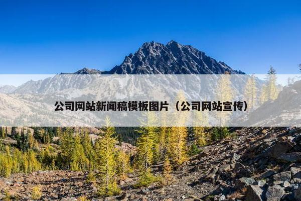 公司网站新闻稿模板图片（公司网站宣传）
