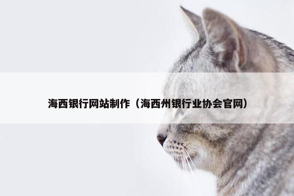 海西银行网站制作（海西州银行业协会官网）