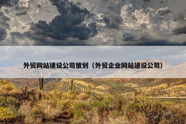 外贸网站建设公司策划（外贸企业网站建设公司）