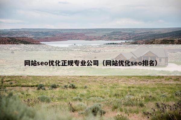 网站seo优化正规专业公司（网站优化seo排名）