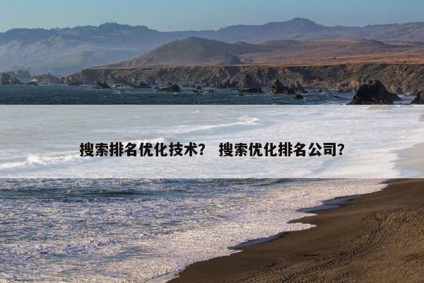 搜索排名优化技术？ 搜索优化排名公司？