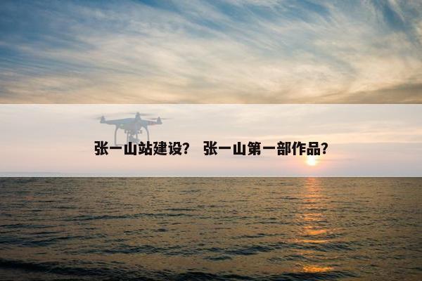 张一山站建设？ 张一山第一部作品？