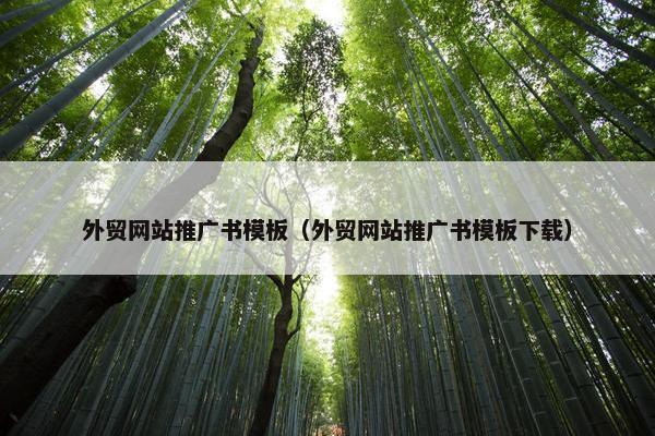 外贸网站推广书模板（外贸网站推广书模板下载）