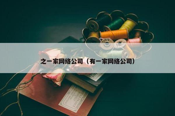 之一家网络公司（有一家网络公司）