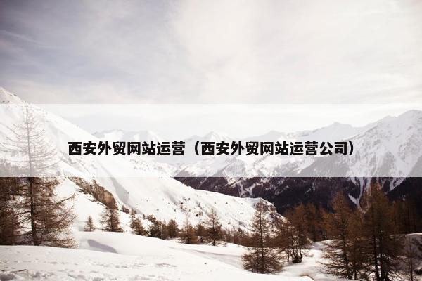 西安外贸网站运营（西安外贸网站运营公司）