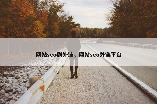 网站seo刷外链，网站seo外链平台