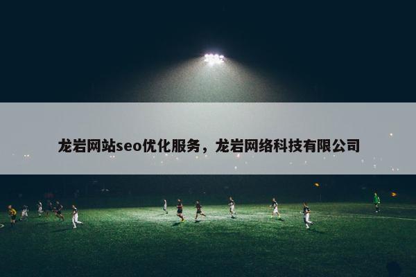 龙岩网站seo优化服务，龙岩网络科技有限公司