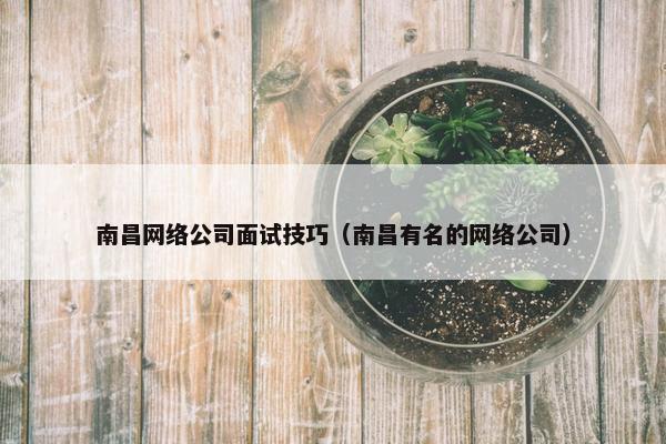 南昌网络公司面试技巧（南昌有名的网络公司）