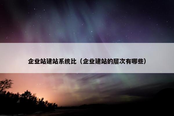 企业站建站系统比（企业建站的层次有哪些）