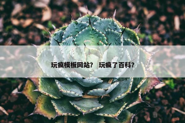 玩疯模板网站？ 玩疯了百科？