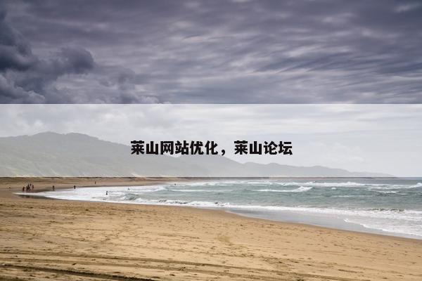 莱山网站优化，莱山论坛
