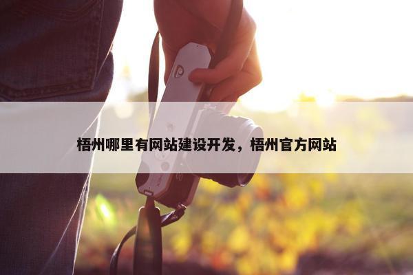 梧州哪里有网站建设开发，梧州官方网站