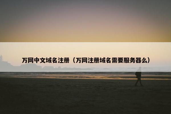 万网中文域名注册（万网注册域名需要服务器么）