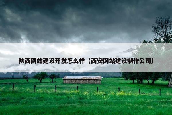 陕西网站建设开发怎么样（西安网站建设制作公司）
